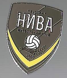 Pin FC Nyva Buzova